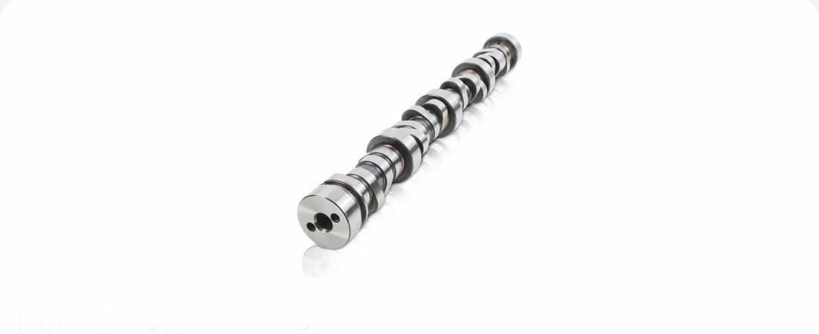 WhatsApp Image 2026-01-12 at 2.33.05 PM (1)